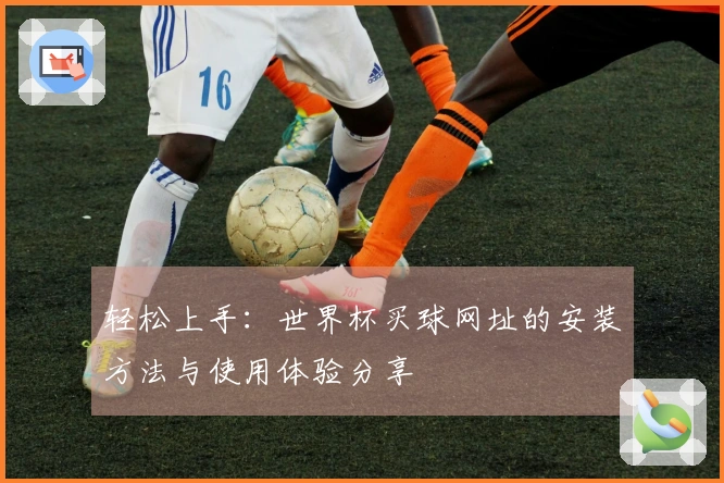 轻松上手：世界杯买球网址的安装方法与使用体验分享