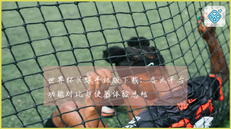 世界杯买球手机版下载:各大平台功能对比与使用体验总结