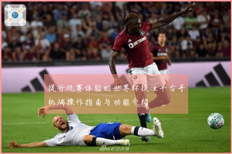 提升观赛体验的世界杯投注平台手机端操作指南与功能介绍
