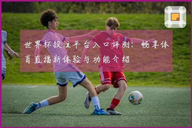 世界杯投注平台入口评测：畅享体育直播新体验与功能介绍