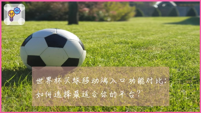世界杯买球移动端入口功能对比：如何选择最适合你的平台？