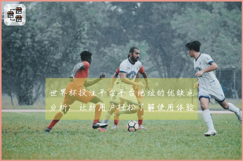 世界杯投注平台平台地址的优缺点分析：让新用户轻松了解使用体验与功能特点