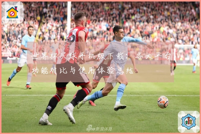 世界杯买球手机版下载：各大平台功能对比与使用体验总结