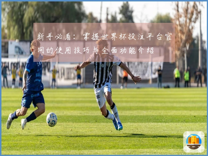 新手必看：掌握世界杯投注平台官网的使用技巧与全面功能介绍