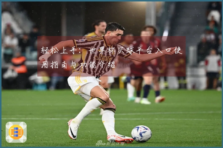 轻松上手：世界杯买球平台入口使用指南与功能介绍