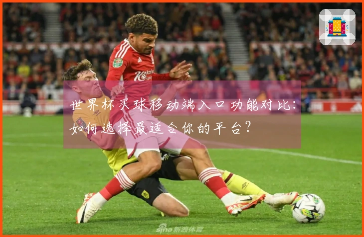 世界杯买球移动端入口功能对比：如何选择最适合你的平台？