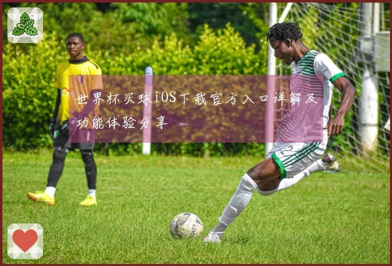 世界杯买球iOS下载官方入口详解及功能体验分享