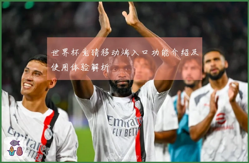 世界杯竞猜移动端入口功能介绍及使用体验解析