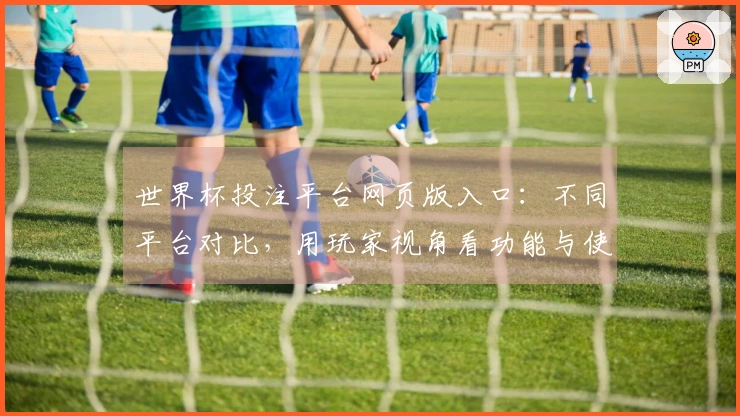 世界杯投注平台网页版入口：不同平台对比，用玩家视角看功能与使用体验